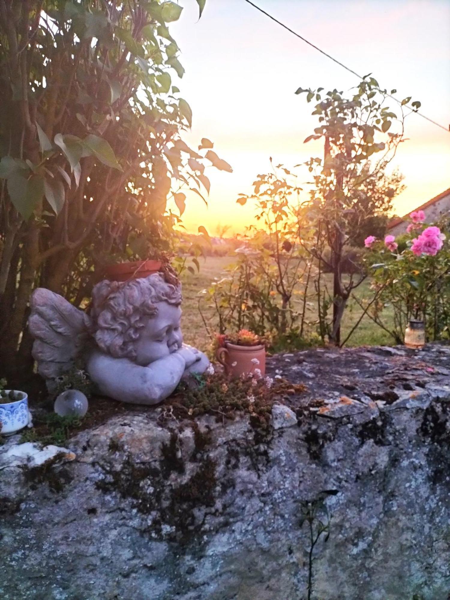 Charmante Maison, Calme Et Nature A La Roche Posay Villa Exterior foto