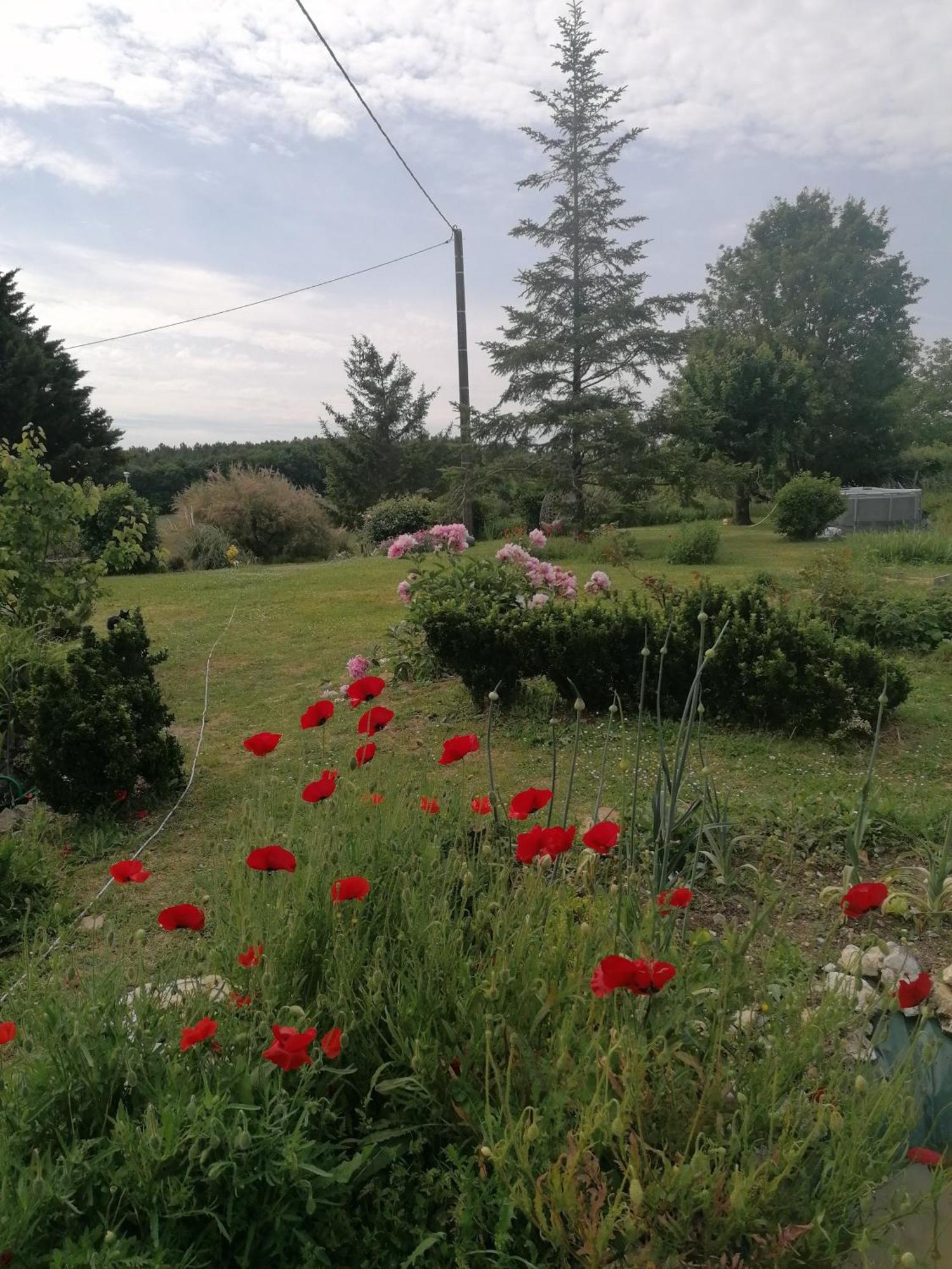 Charmante Maison, Calme Et Nature A La Roche Posay Villa Exterior foto