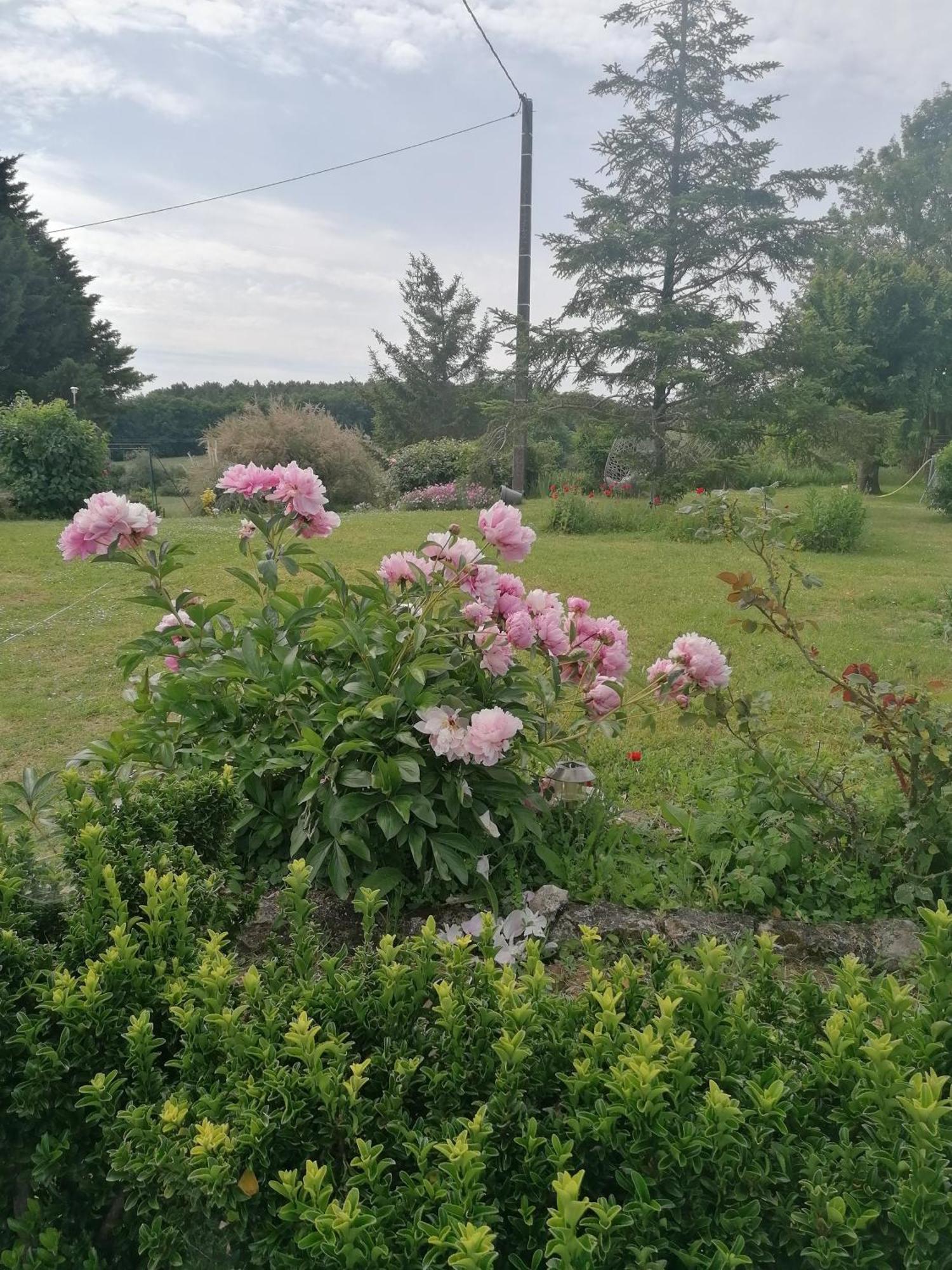 Charmante Maison, Calme Et Nature A La Roche Posay Villa Exterior foto