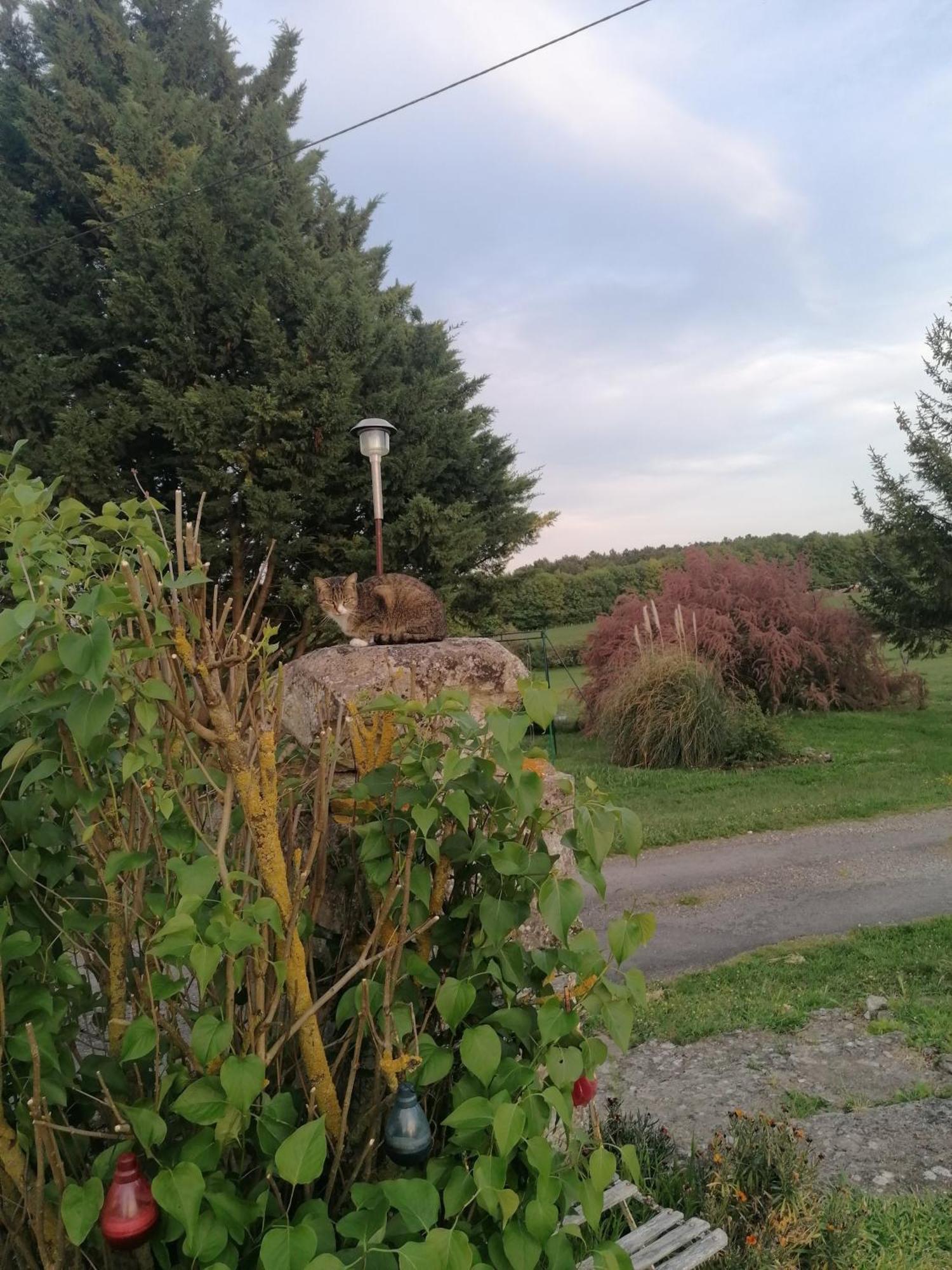 Charmante Maison, Calme Et Nature A La Roche Posay Villa Exterior foto